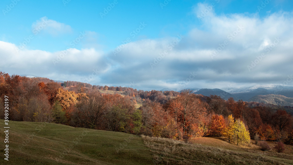 Amazing fall  landscape with colored trees and frost in the morning 