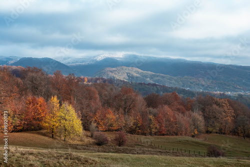 Amazing fall landscape with colored trees and frost in the morning 