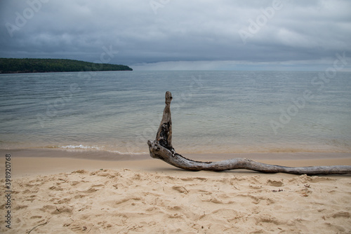 Driftwood on beach with storm clouds