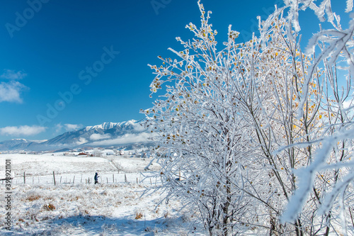 A man walking on the road in winter landscape with mountains in background photo