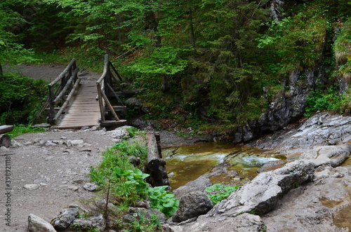 Dolina Białego Potoku, malownicze mostki na szlaku, latem, Tatry, Polska