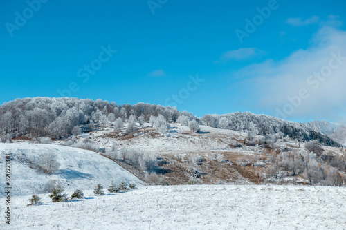 Amazing autumn winter landscape at the mountains base with colored trees