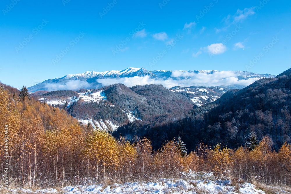 Amazing autumn winter landscape at the mountains base with colored trees