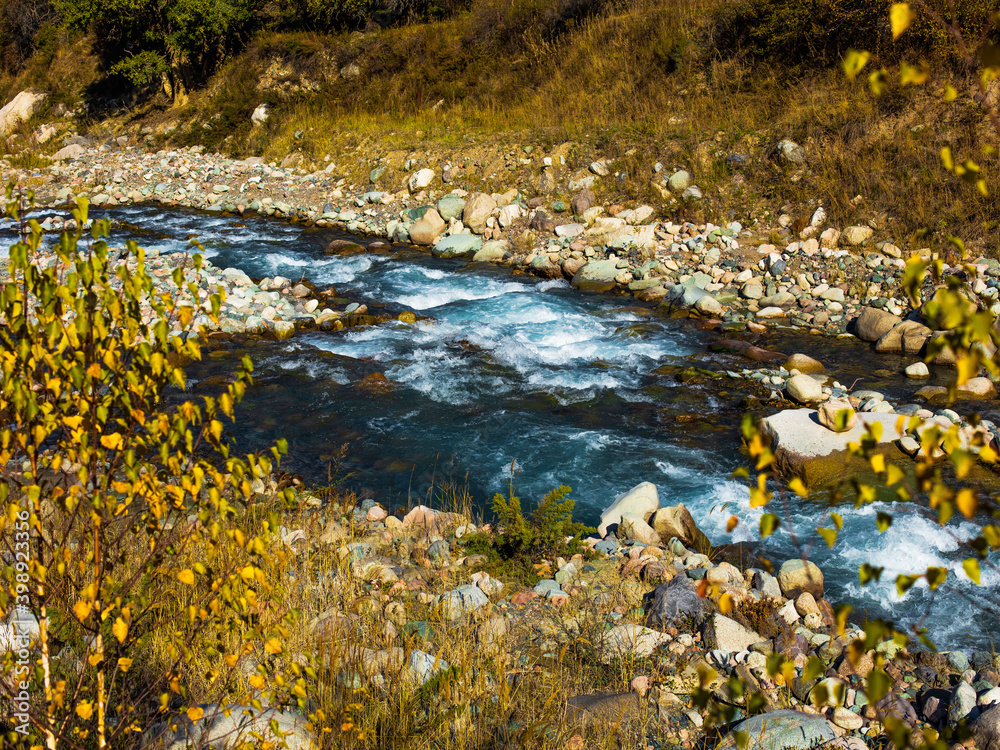 autumn leaves on the water