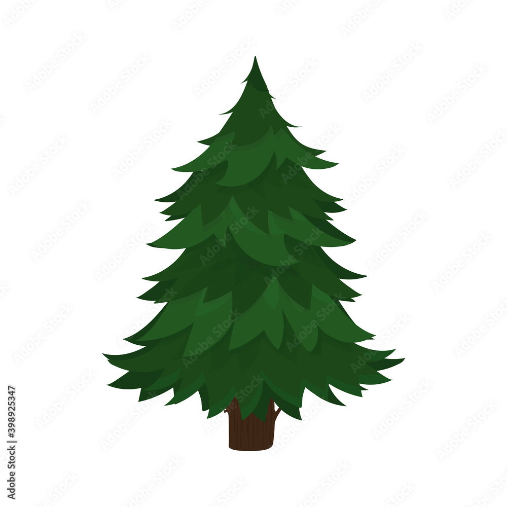 Green spruce isolated on white background. Pine tree in a flat style. Vector.