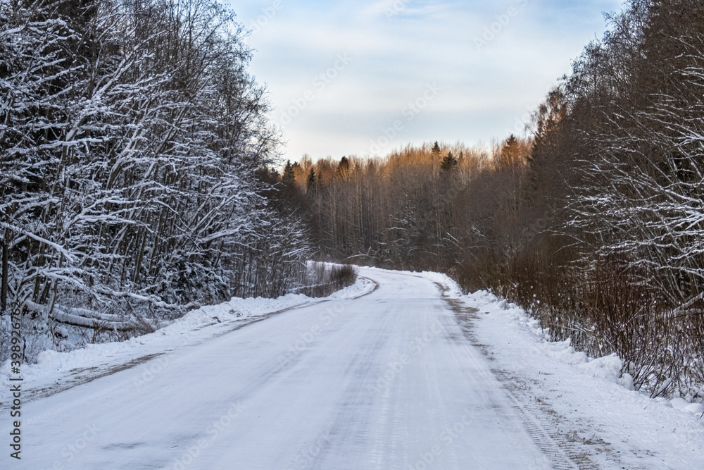 Obraz premium winter road through the forest, which was cleaned after a snowfall