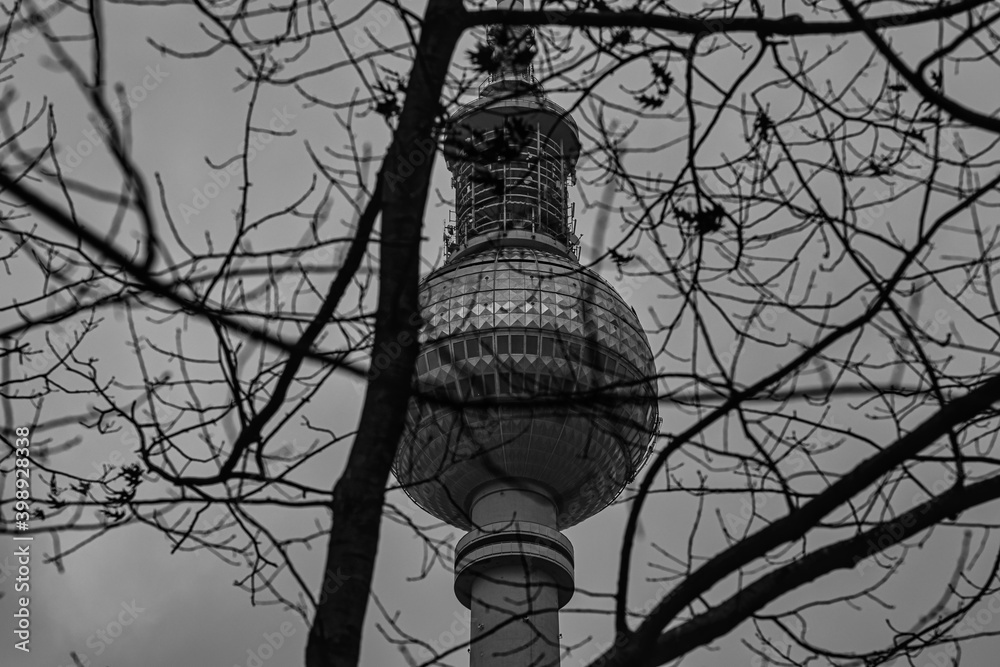 The Berlin TV tower behind branches in black and white in winter