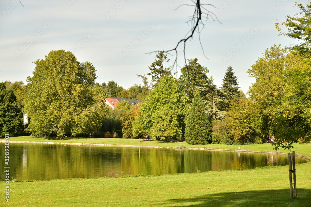 Feuillus de différentes variété cachant une zone de villas longeant le Grand Etang au parc de Tervuren 