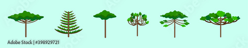 set of araucaria tree cartoon icon design template with various models. vector illustration isolated on blue background