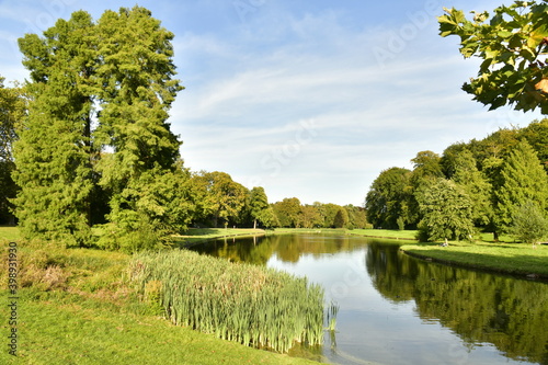 Variété d'arbres dont certains majestueux autour d'un des étangs du parc de Tervuren à l'est de Bruxelles photo