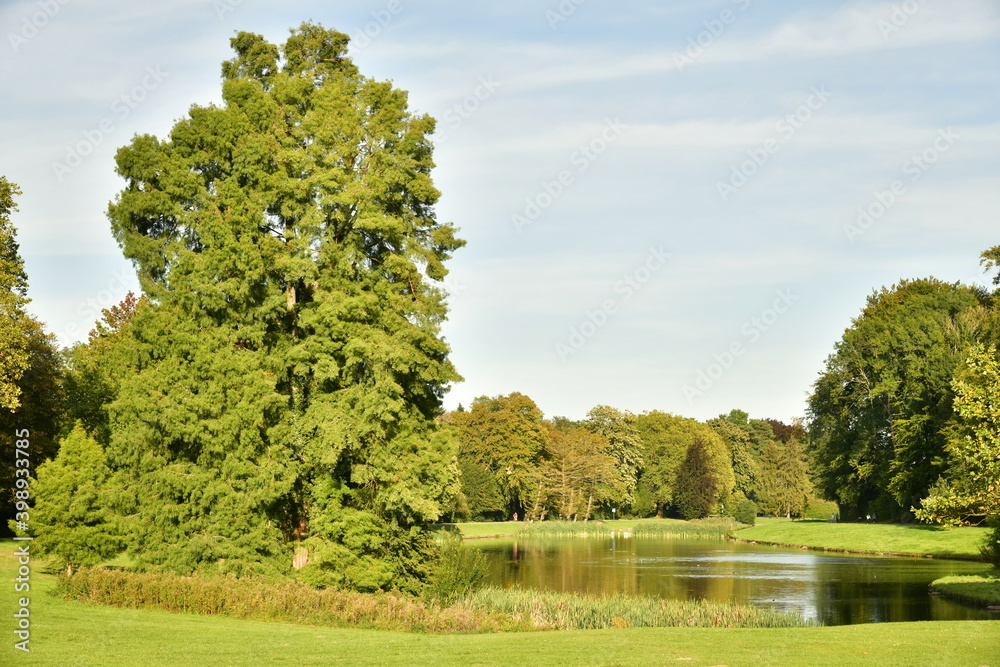 Variété d'arbres dont certains majestueux autour d'un des étangs du parc de Tervuren à l'est de Bruxelles