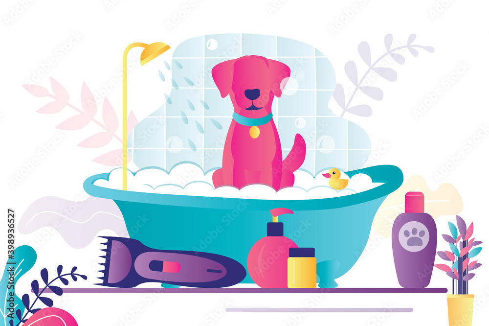 Bathtub Domestics Pet Bathes, Why Does My Dog Sit In The Bathtub