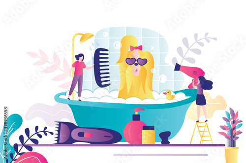 Female characters with hair dryer and comb. Professional groomer bathing dog, fashionable yorkshire terrier.