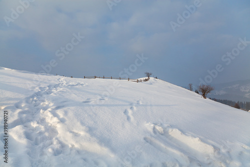 Winter landscape, white mountain slope with a wooden fence and a bare tree, path trodden in the snow, snowfall. Ukraine, Carpathians.