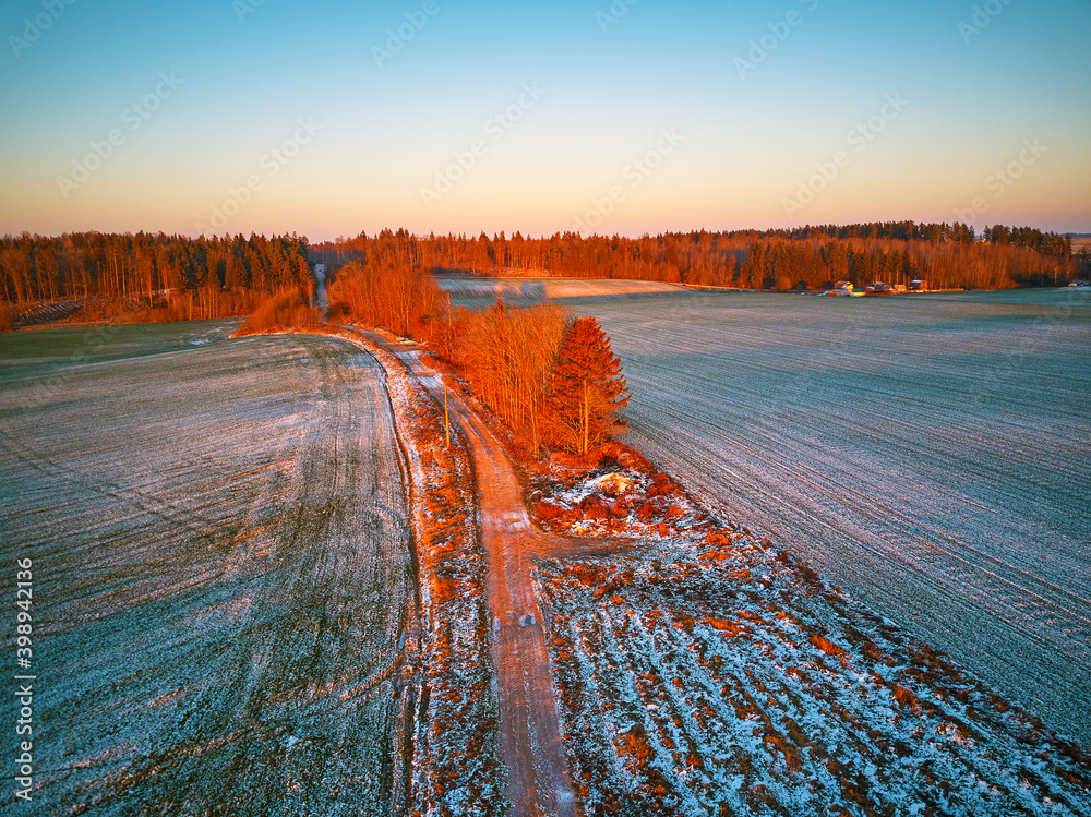 Winter green Agricultural field winter crops under snow. Colorful trees December sunset