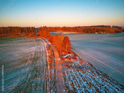 Obraz na płótnie Winter green Agricultural field winter crops under snow. Colorful trees December sunset w salonie
