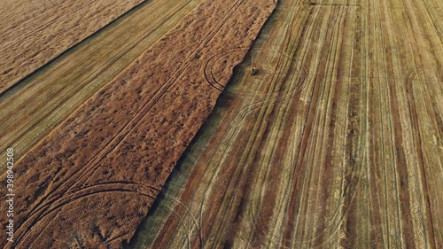 Drone flying over a beautiful wheat field. Electric supports in the wheat field during the harvest of wheat. Wheat field on which grain harvesters worked from aerial view.
