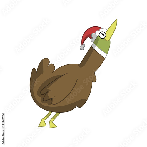 Cute ducks in Christmas cos...