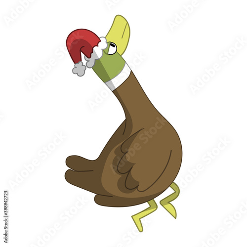 Cute ducks in Christmas cos...