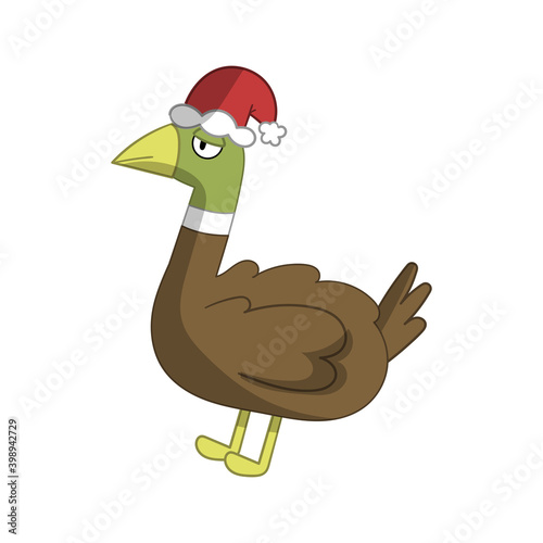 Cute ducks in Christmas cos...