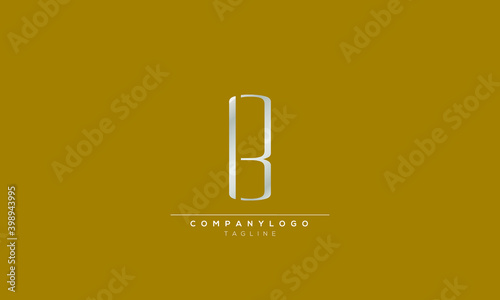 B 13 B13 Abstract initial monogram letter alphabet logo design photo