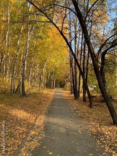 path in park