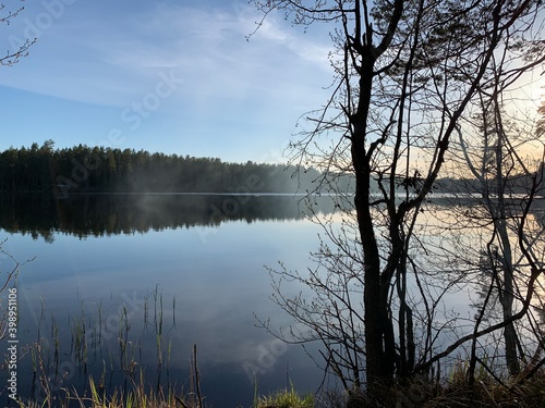 morning on the lake