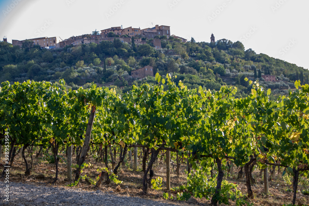 Naklejka premium Montalcino