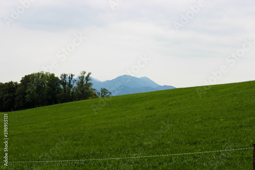 Beautiful green landscape with trees and grass and gray sky in background