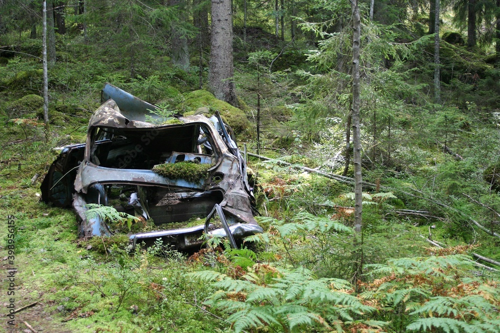 An old, broken car is abandoned in the forest. It rusty, broken and growing moss.