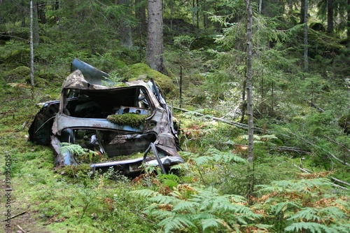 An old, broken car is abandoned in the forest. It rusty, broken and growing moss.