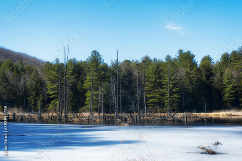 sunnybrook state park torrington connecticut winter photo