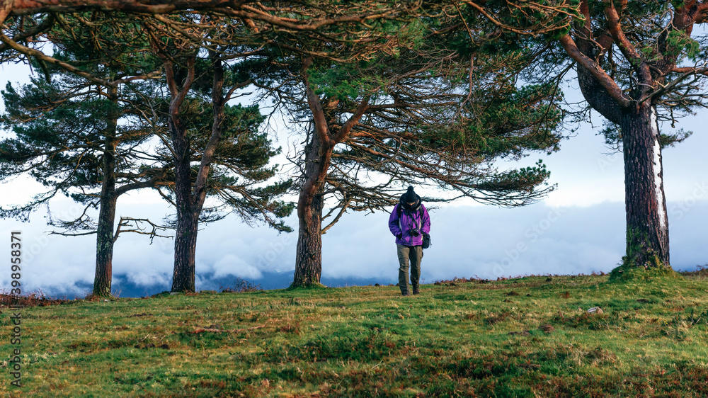panoramic view of a hiker among the trees of a forest with mountains and clouds in the background. photographer hiking. panoramic view of a hiker among the trees of a forest with mountains and clouds in the background. photographer hiking.