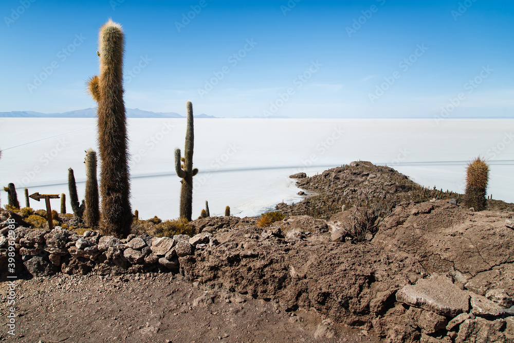 Incahuasi island (Cactus island) in the immense salt flat Salar de Uyuni, Altiplano desert, Bolivia