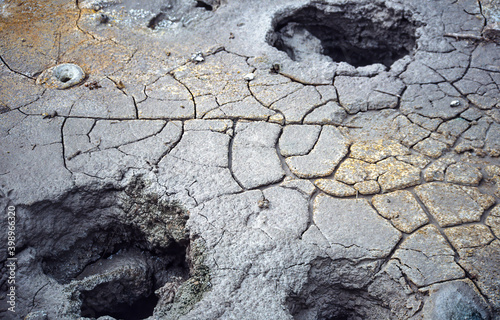 Bison tracks in hot spring mud, Yellowstone National Park