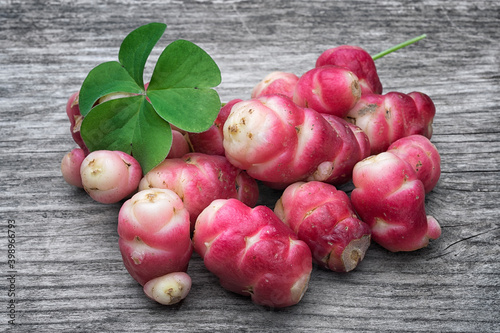 New Zealand yam (Oxalis tuberosa), also called uqa or oca. This exotic, bright red root is a food used in the Andes photo