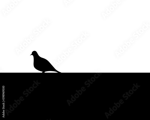 Black silhouette of pigeon on wall, simple vector illustration