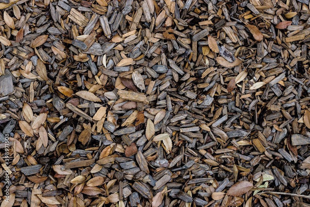textured wood chips and other pieces of timber, leaves, sticks and dirt. dry leaves have fallen from a tree above. seasons are changing, autumn, fall colors and brown gray neutral colored tones. 