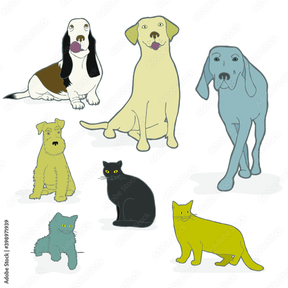 Cães e gatos
