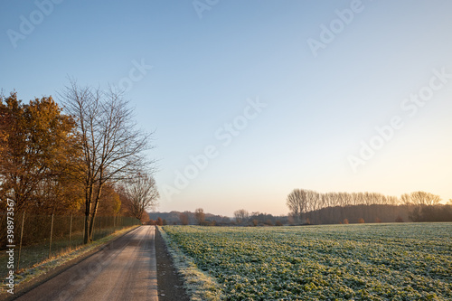 Sunny scenery of small road and agricultural field covered with frost on countryside in Germany in the morning, in winter season.