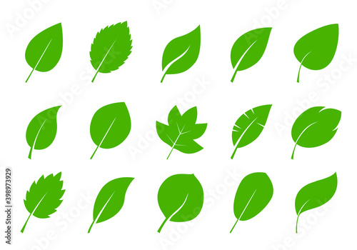 Set of green various Leaves. Vector Pattern. Vector Illustration. Plant in garden.
