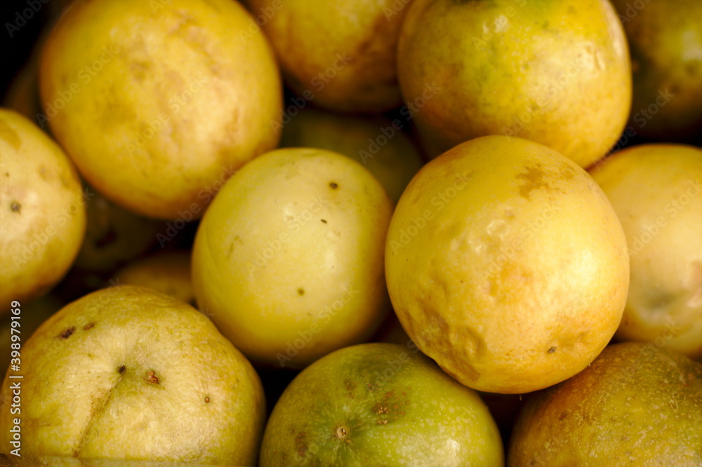 Guava tropical fruit of great yellow flavor, with pleasant meatiness or pulp used in sumo or juice Guava tropical fruit of great yellow flavor, with pleasant meatiness or pulp used in sumo or juice