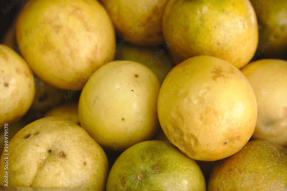Guava tropical fruit of great yellow flavor, with pleasant meatiness or pulp used in sumo or juice Guava tropical fruit of great yellow flavor, with pleasant meatiness or pulp used in sumo or juice