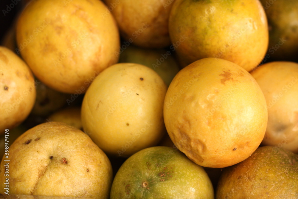 Guava tropical fruit of great yellow flavor, with pleasant meatiness or pulp used in sumo or juice Guava tropical fruit of great yellow flavor, with pleasant meatiness or pulp used in sumo or juice