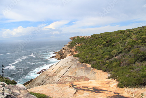 Photography australia sydney nsw royal national park