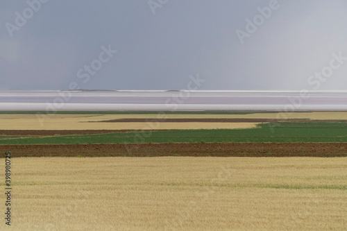 Colorful landscape of wheat crops and Tuz lake in Konya, Turkey. photo