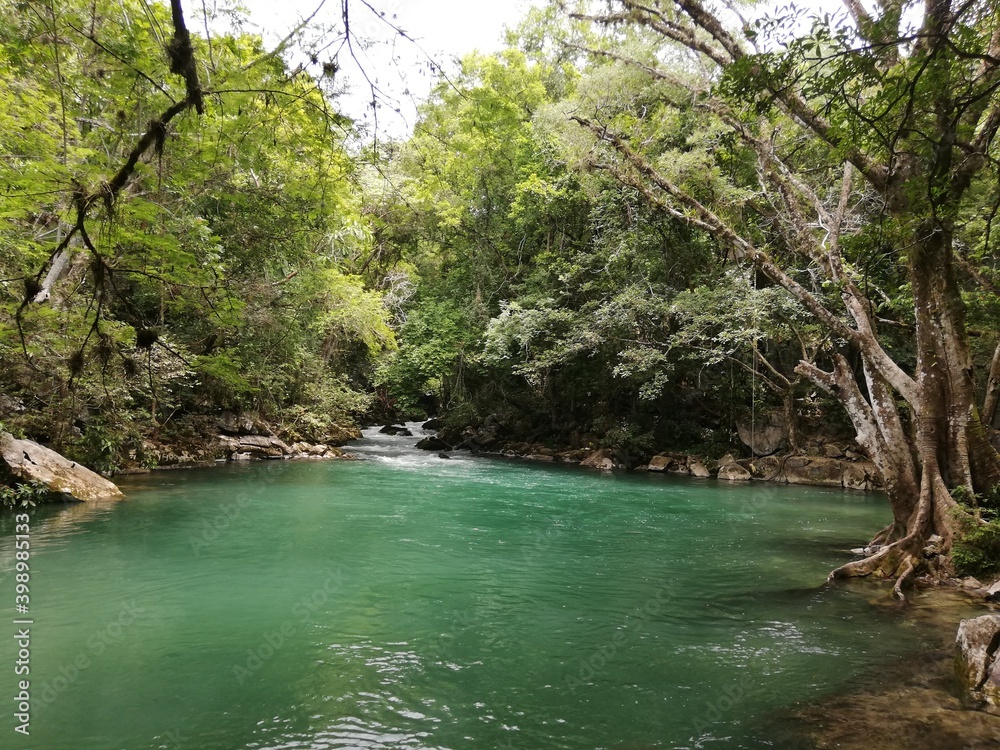 Naklejka premium mx azul