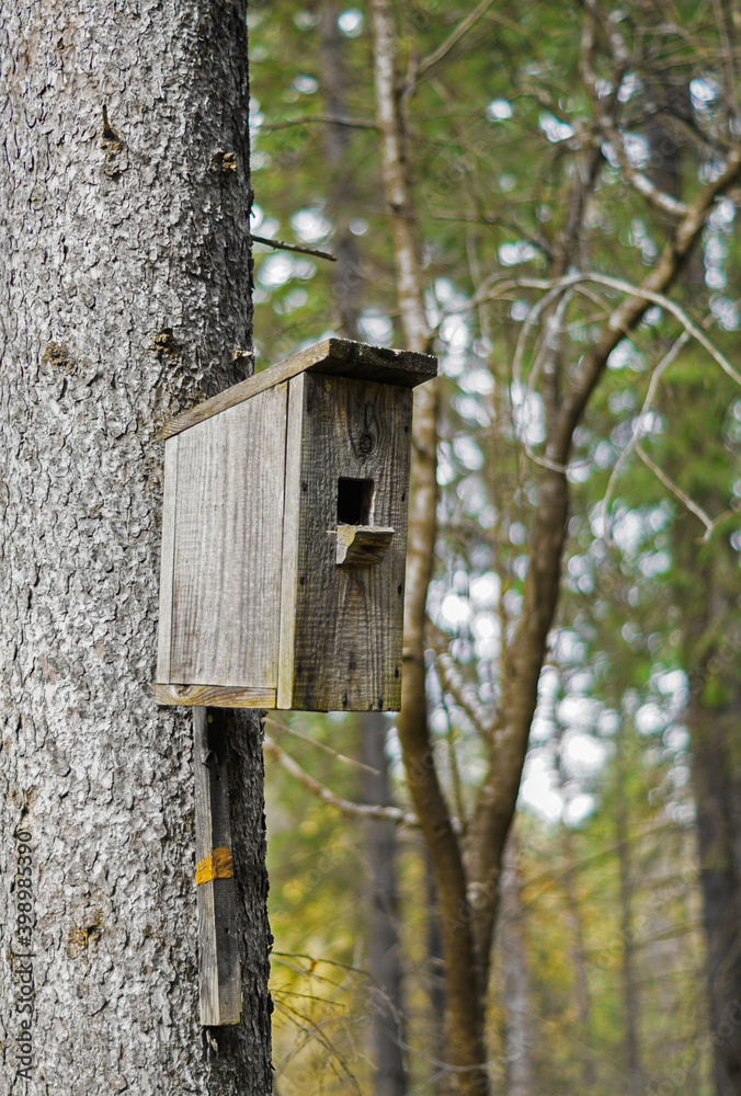 birdhouse on a tree in the autumn forest birdhouse on a tree in the autumn forest
