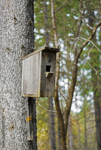birdhouse on a tree in the autumn forest