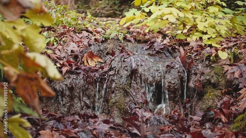 Wallpaper Mural Water Stream in Autumn Torontodigital.ca
